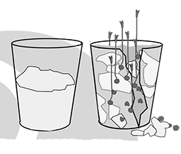 Ärtor i ett glas med gips, illustration.
