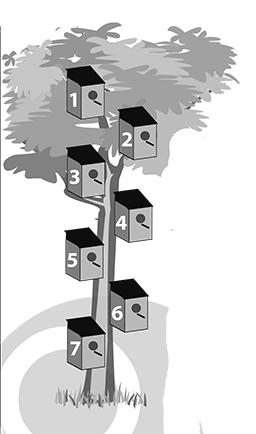 Sju fågelholkar i ett träd, illustration.