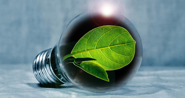 En glödlampa med ett grönt blad inuti.